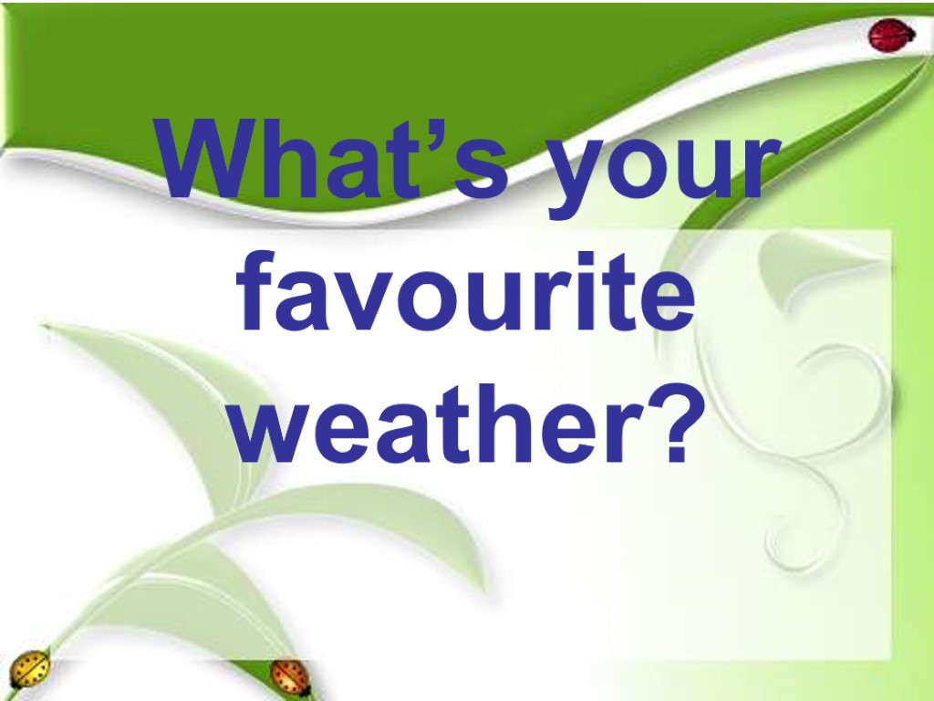 What’s your favourite weather?